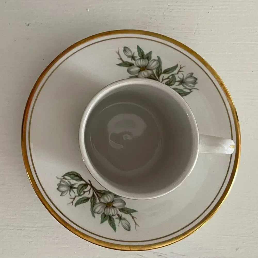 VTG Staffordshire Ambassador, Demitasse / Espresso Cup & Saucer, Dogwood, Floral